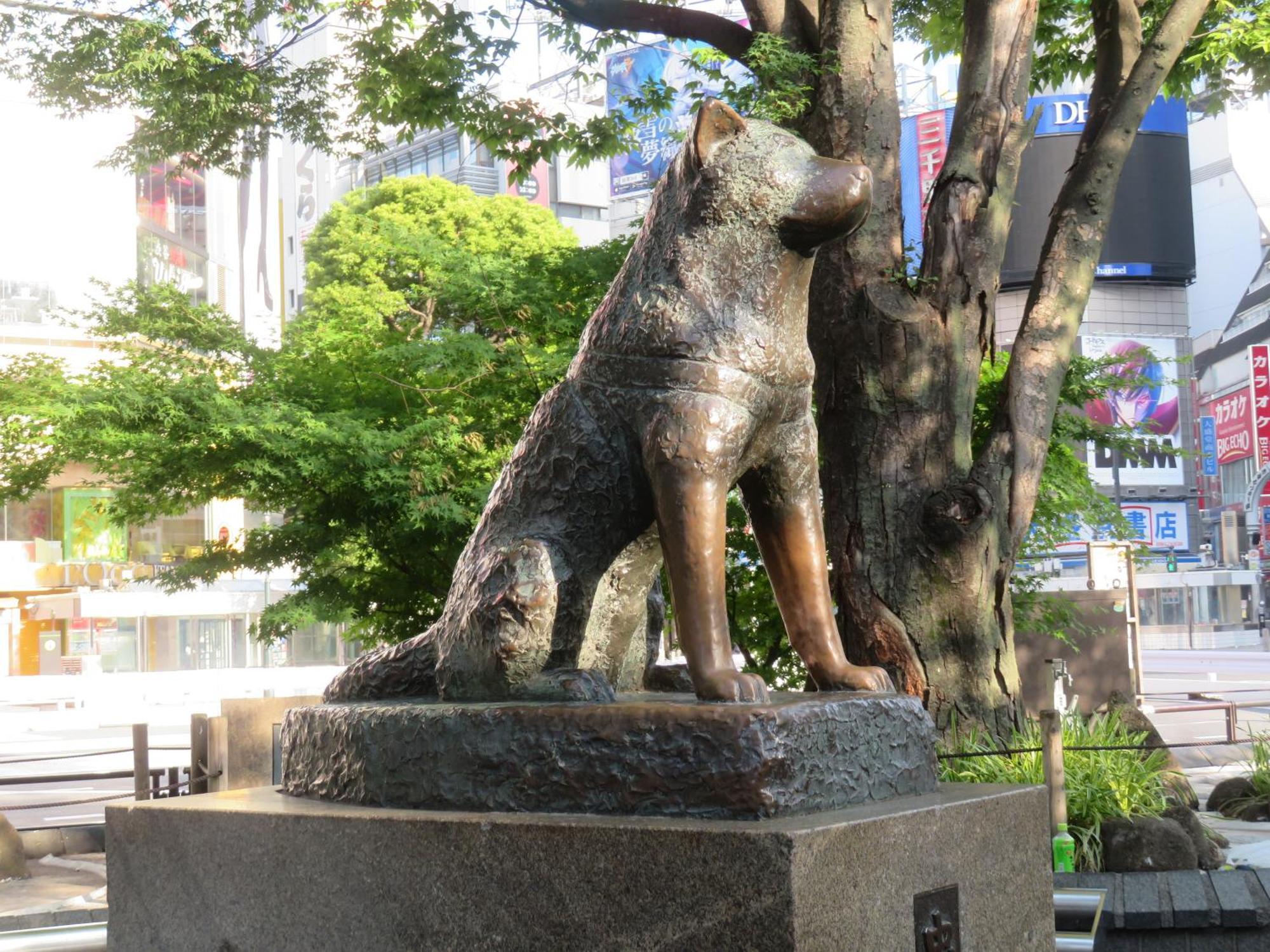 Apa Hotel Shibuya Dogenzakaue Prefektura Tokio Exteriér fotografie